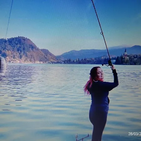 Daire Apartmaji Jezerka