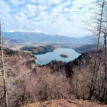 Apartmaji Jezerka Appartamento