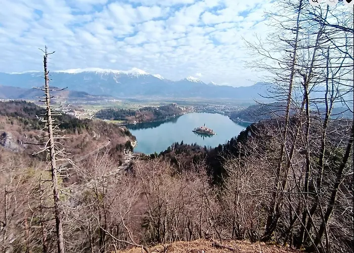 Apartmaji Jezerka Daire